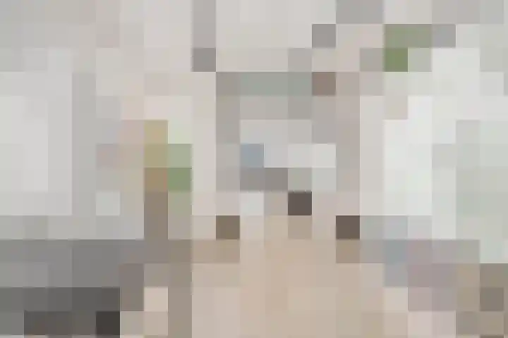 Langeviele 79 Middelburg thumbnail 12