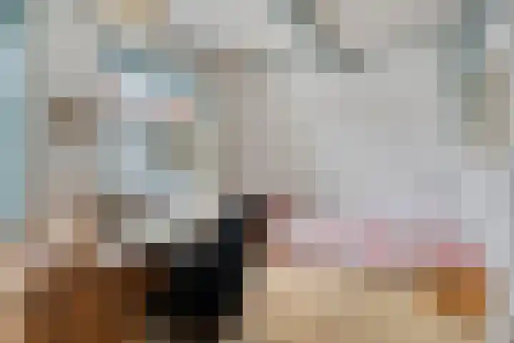 Langeviele 79 Middelburg thumbnail 33