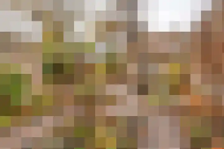 Langeviele 79 Middelburg thumbnail 46