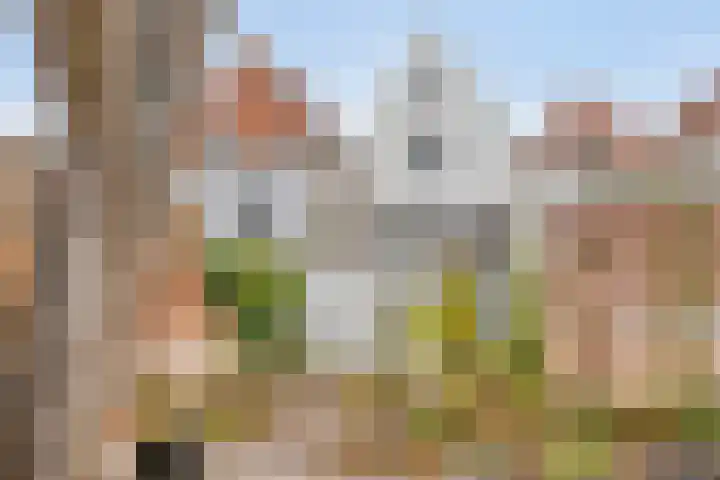 Langeviele 79 Middelburg thumbnail 48