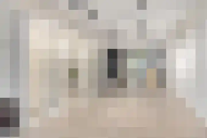Langeviele 79 Middelburg thumbnail 7