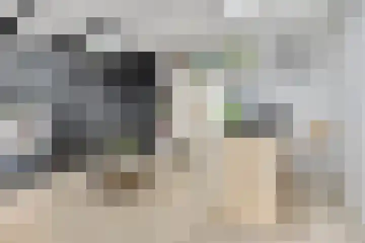Langeviele 79 Middelburg thumbnail 9