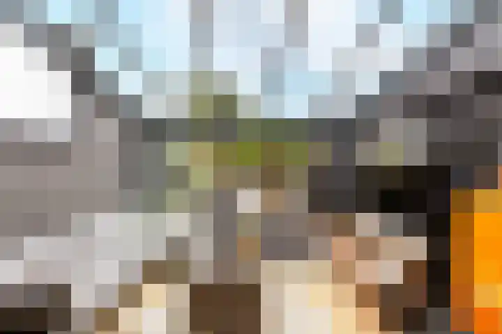 Langevielesingel 70 Middelburg thumbnail 19