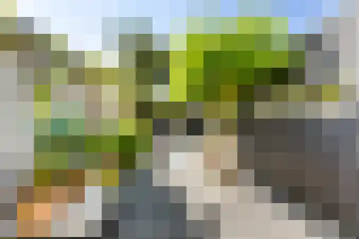 Langevielesingel 70 Middelburg thumbnail 21