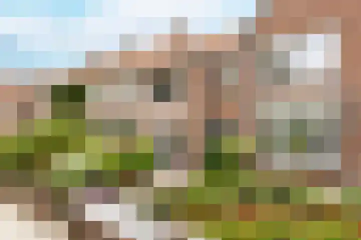 Langevielesingel 70 Middelburg thumbnail 6