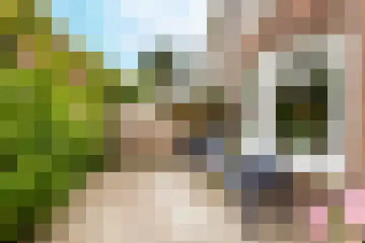 Langevielesingel 70 Middelburg thumbnail 7