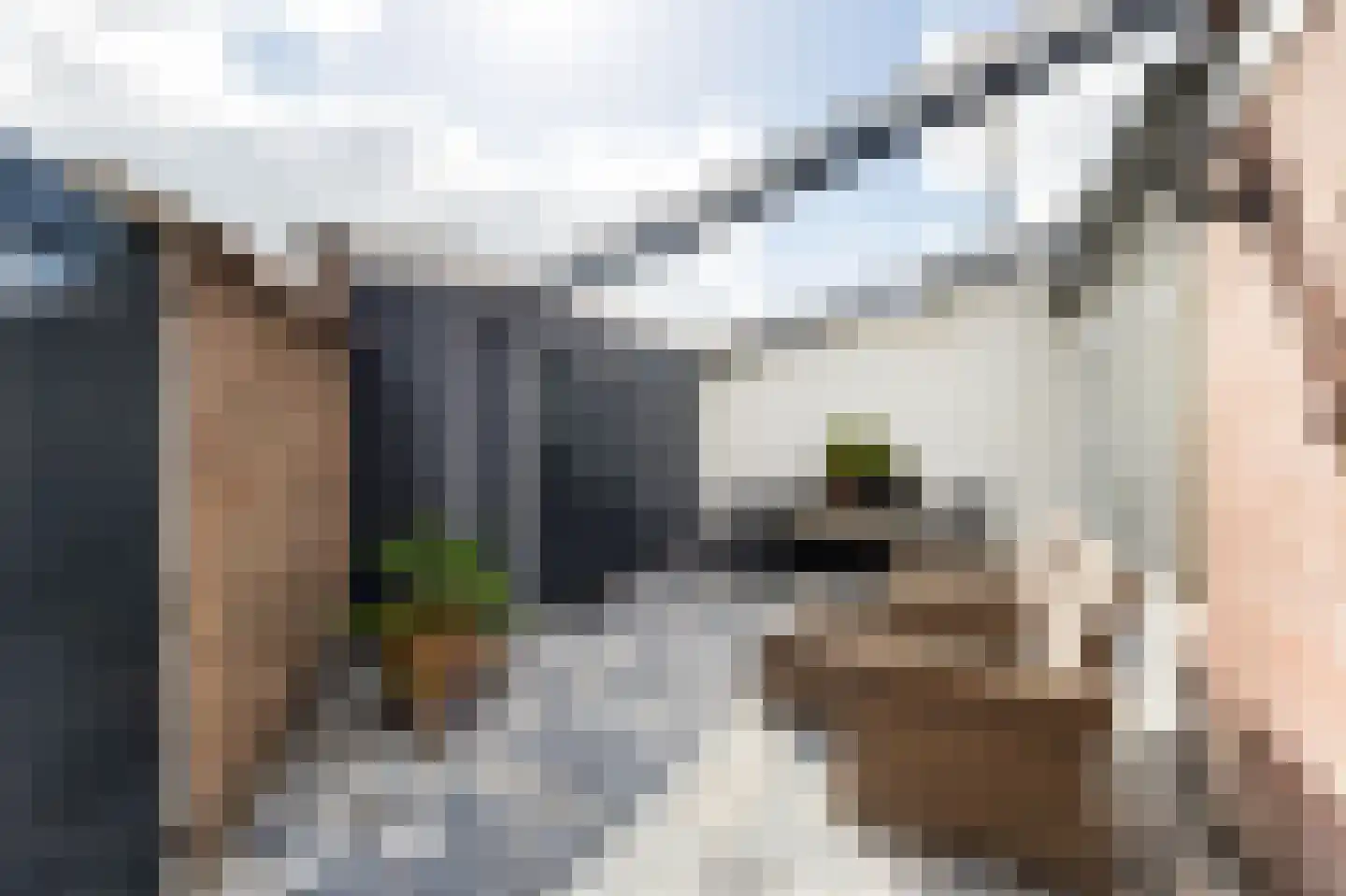 Langevielesingel 92 Middelburg thumbnail 16