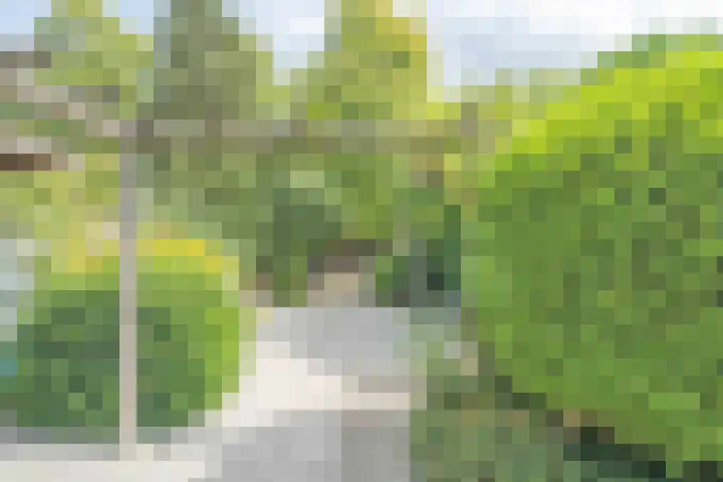 Langeville 52 Yerseke thumbnail 5