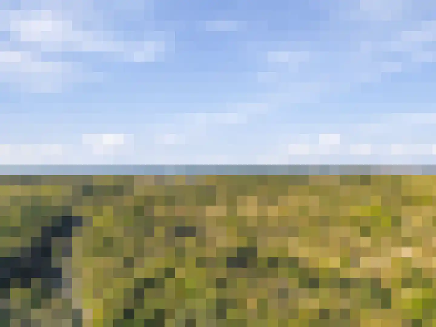 Langevlak 23 IJmuiden thumbnail 32