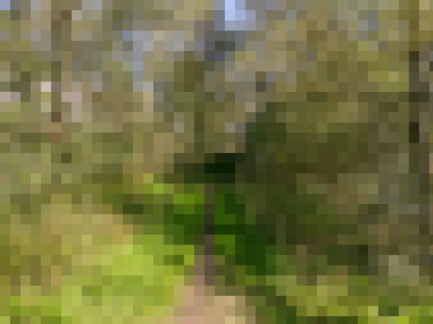 Langevlak 23 IJmuiden thumbnail 33