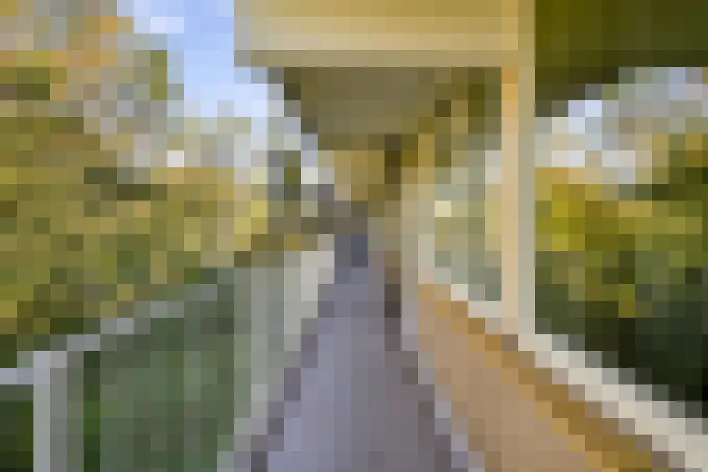 Langevlak 23 IJmuiden thumbnail 34