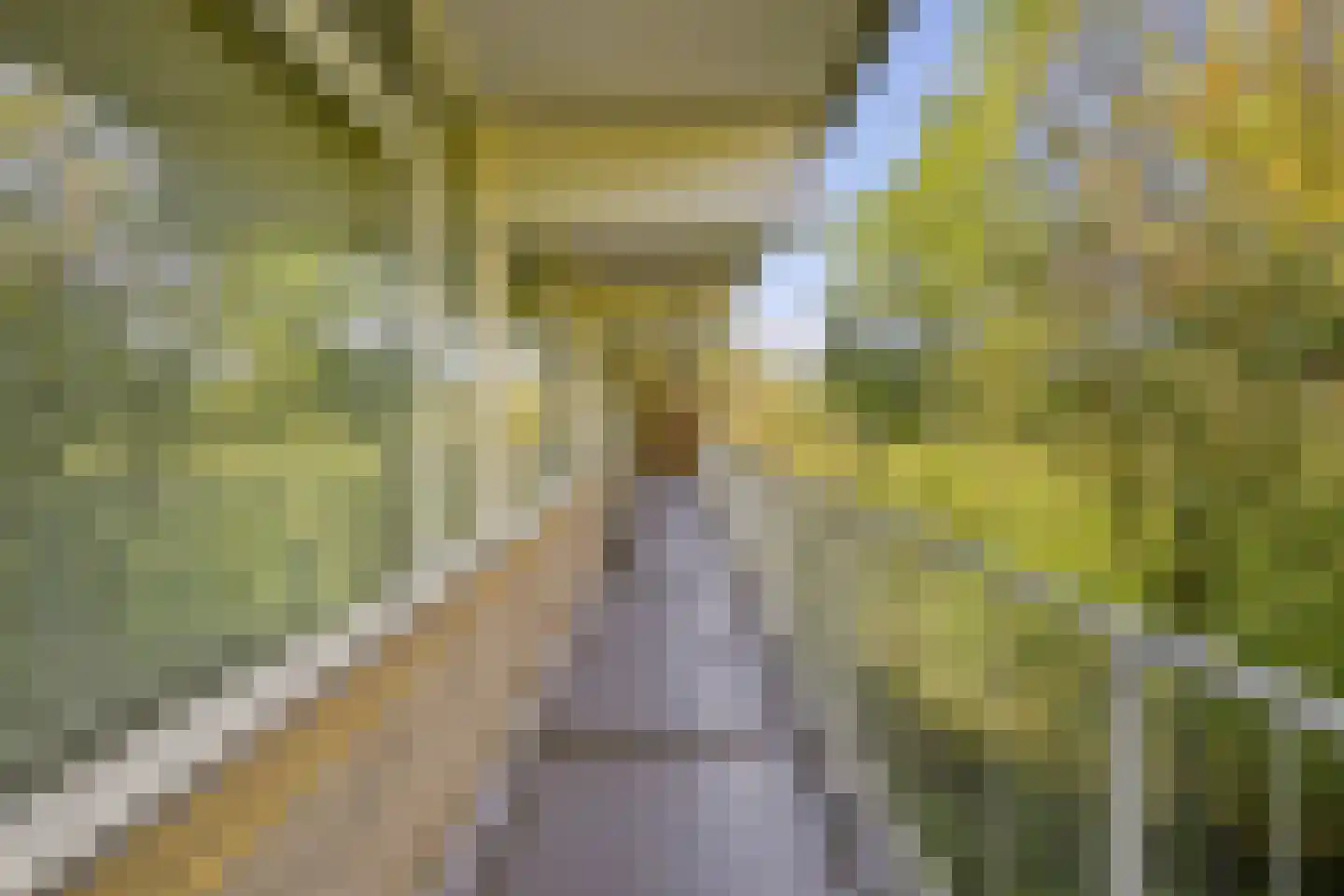 Langevlak 23 IJmuiden thumbnail 35