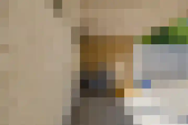 Langevlak 6 IJmuiden thumbnail 16