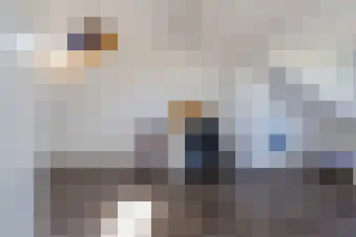 Langevlak 6 IJmuiden thumbnail 32