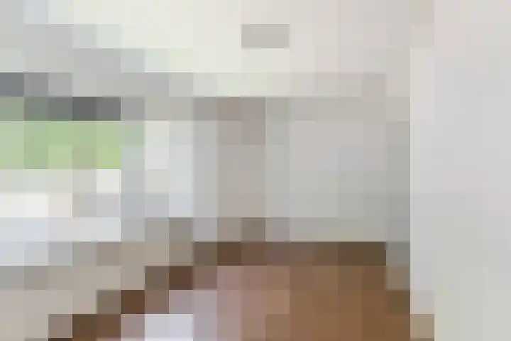 Langevoorenstraat 15 Goirle thumbnail 13