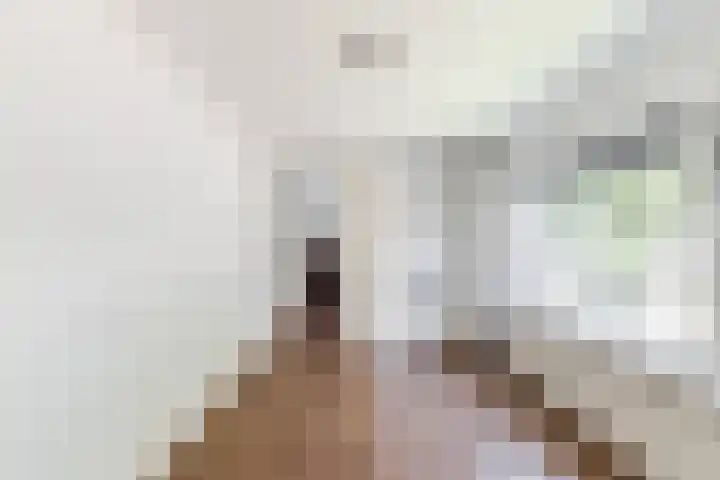Langevoorenstraat 15 Goirle thumbnail 14