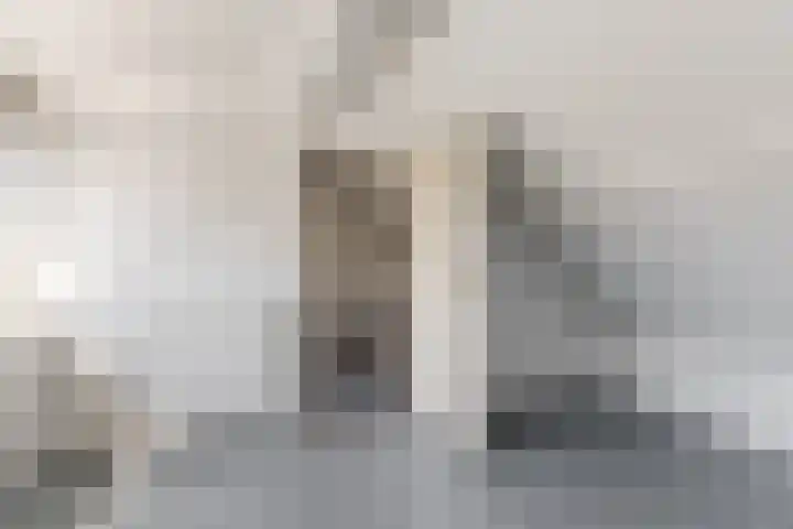 Langevoorenstraat 15 Goirle thumbnail 21