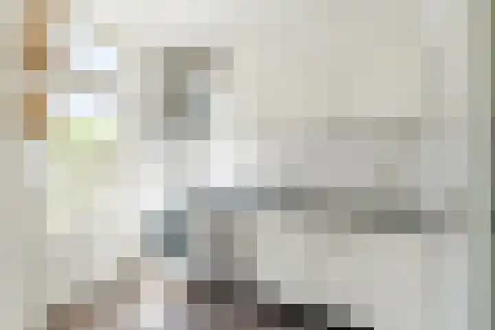 Langevoorenstraat 15 Goirle thumbnail 5