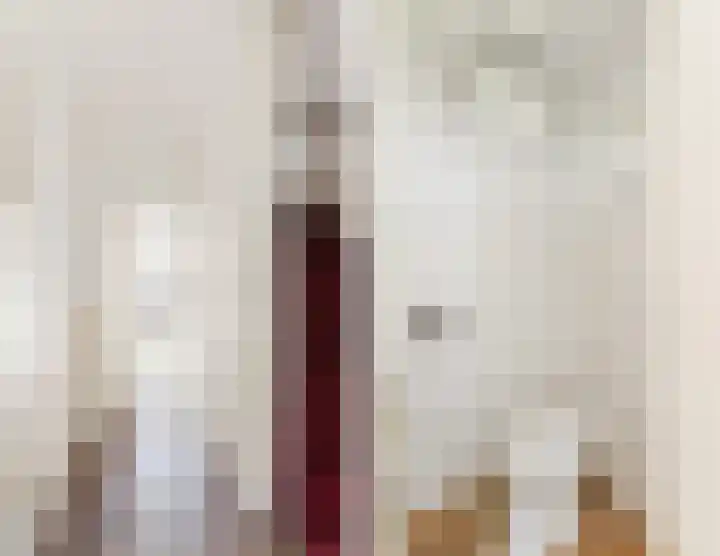 Langevoorenstraat 15 Goirle thumbnail 9