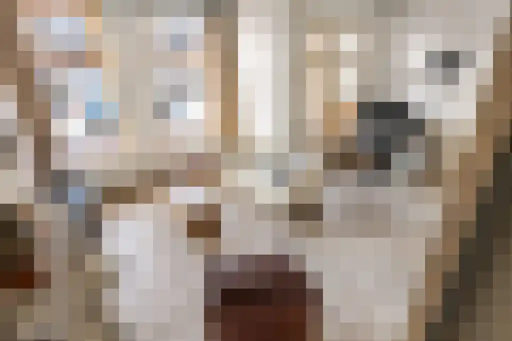 Langewâl 23 Gorredijk thumbnail 6