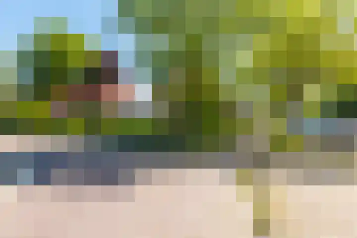 Langewâl 72 Gorredijk thumbnail 11