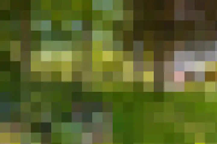 Langewâl 72 Gorredijk thumbnail 16