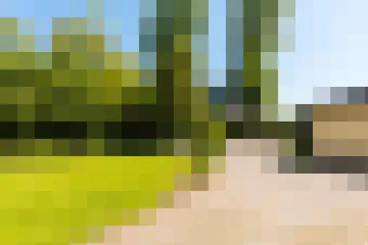 Langewâl 72 Gorredijk thumbnail 17