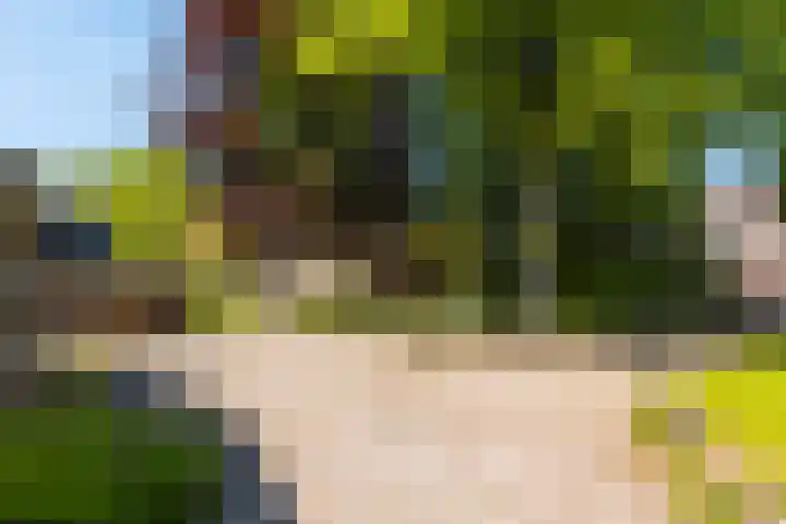 Langewâl 72 Gorredijk thumbnail 19