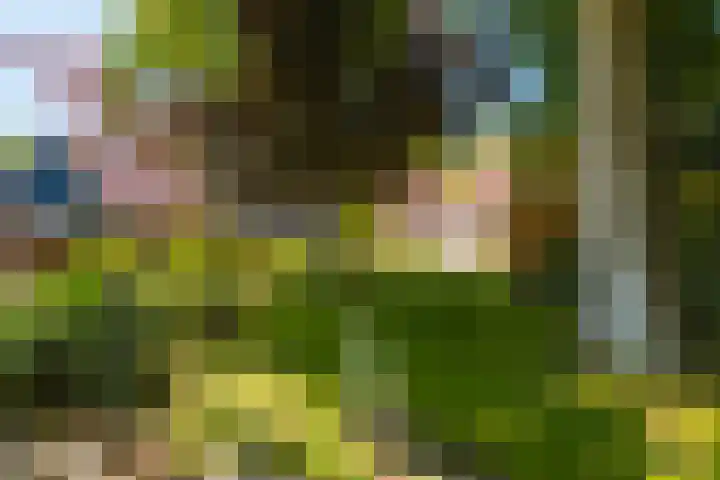 Langewâl 72 Gorredijk foto 2