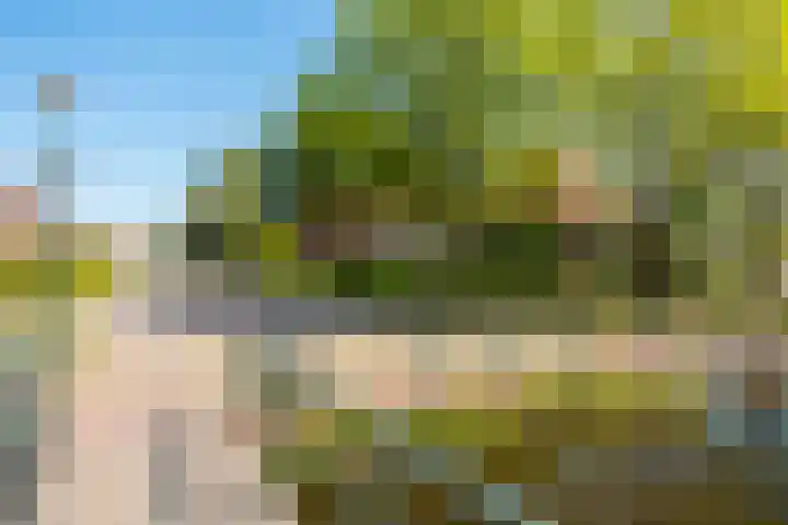 Langewâl 72 Gorredijk thumbnail 23