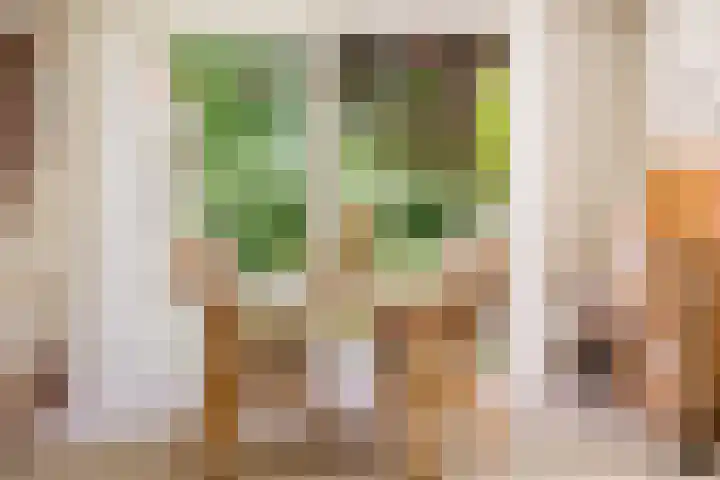 Langewâl 72 Gorredijk thumbnail 32