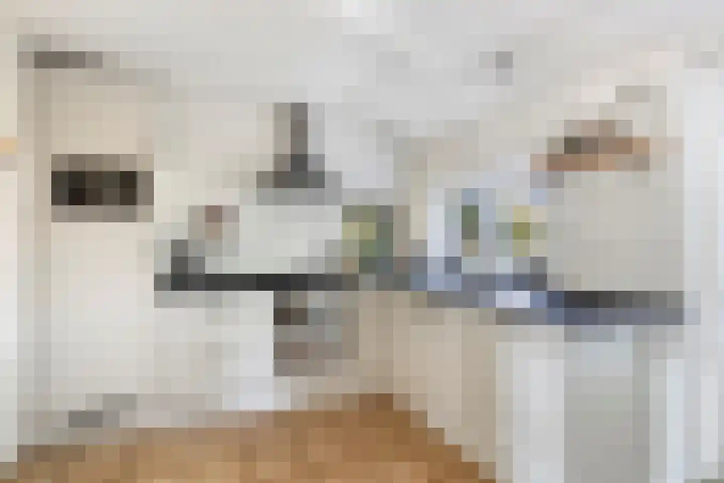 Langeweegje 7 Kwadendamme thumbnail 16
