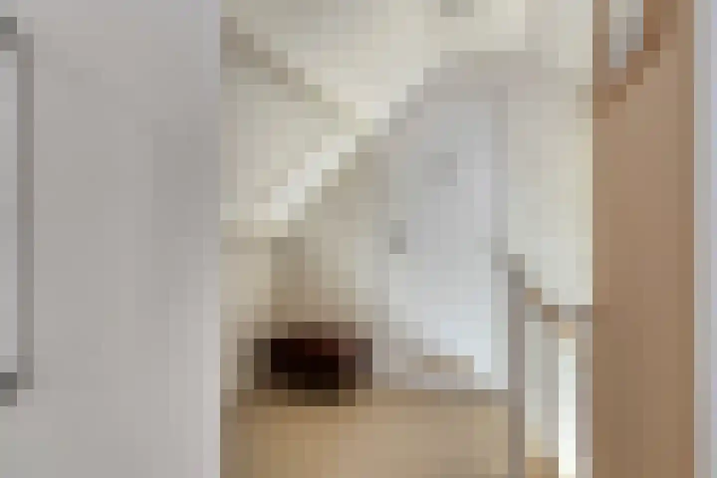 Langeweegje 7 Kwadendamme thumbnail 26