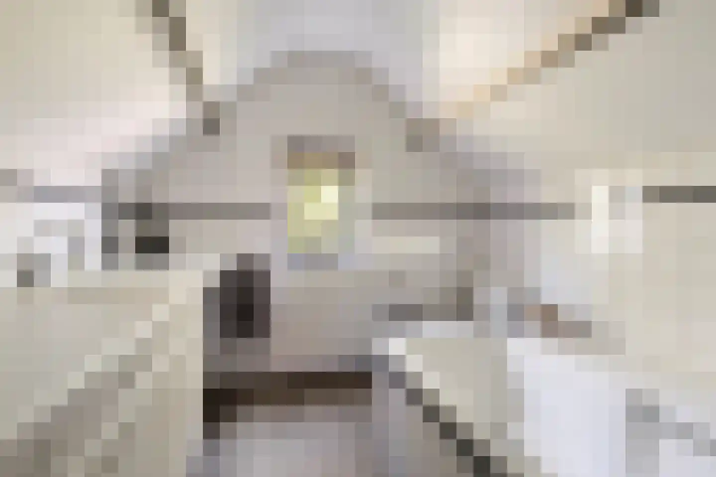 Langeweegje 7 Kwadendamme thumbnail 29