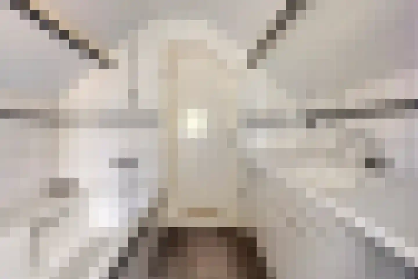Langeweegje 7 Kwadendamme thumbnail 30