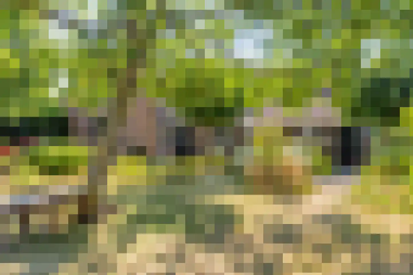 Langeweegje 7 Kwadendamme thumbnail 38