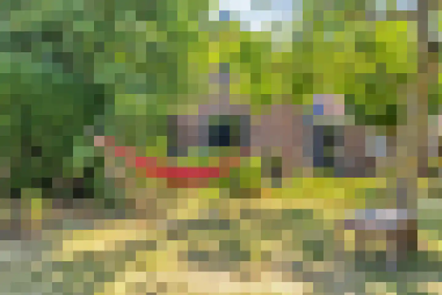 Langeweegje 7 Kwadendamme thumbnail 39