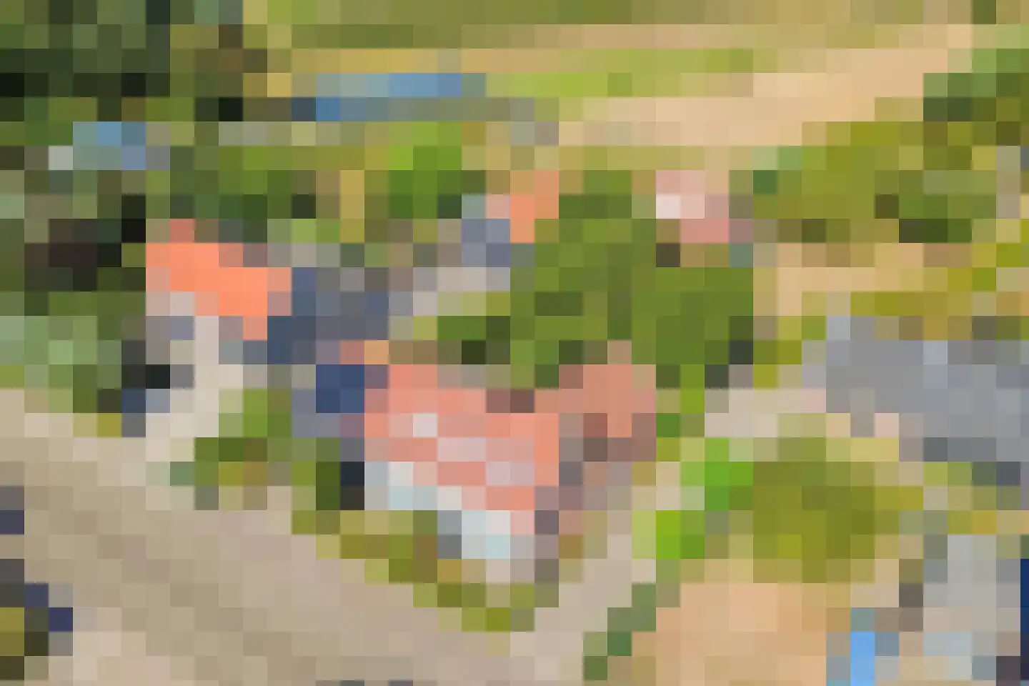 Langeweegje 7 Kwadendamme thumbnail 4