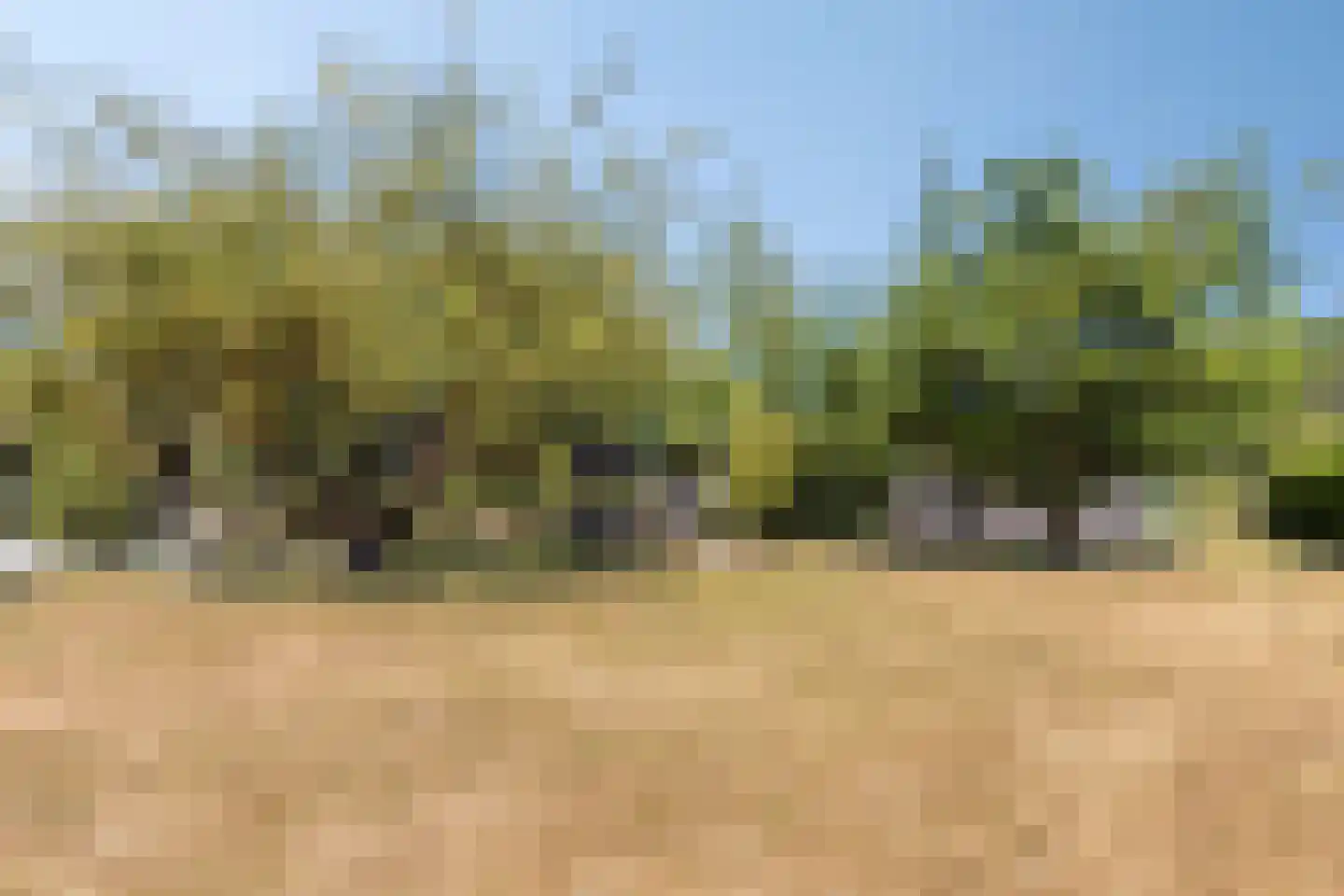 Langeweegje 7 Kwadendamme thumbnail 41