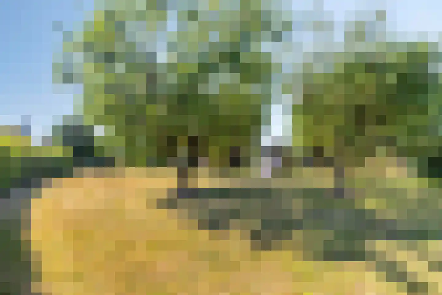 Langeweegje 7 Kwadendamme thumbnail 42
