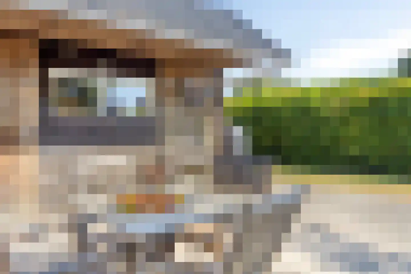 Langeweegje 7 Kwadendamme thumbnail 44
