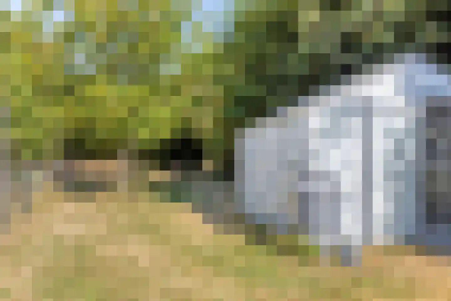 Langeweegje 7 Kwadendamme thumbnail 45