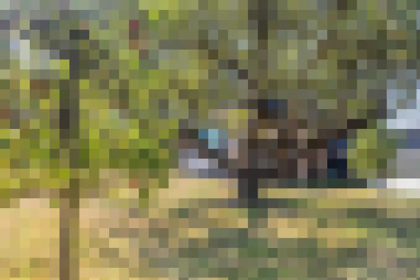 Langeweegje 7 Kwadendamme thumbnail 47