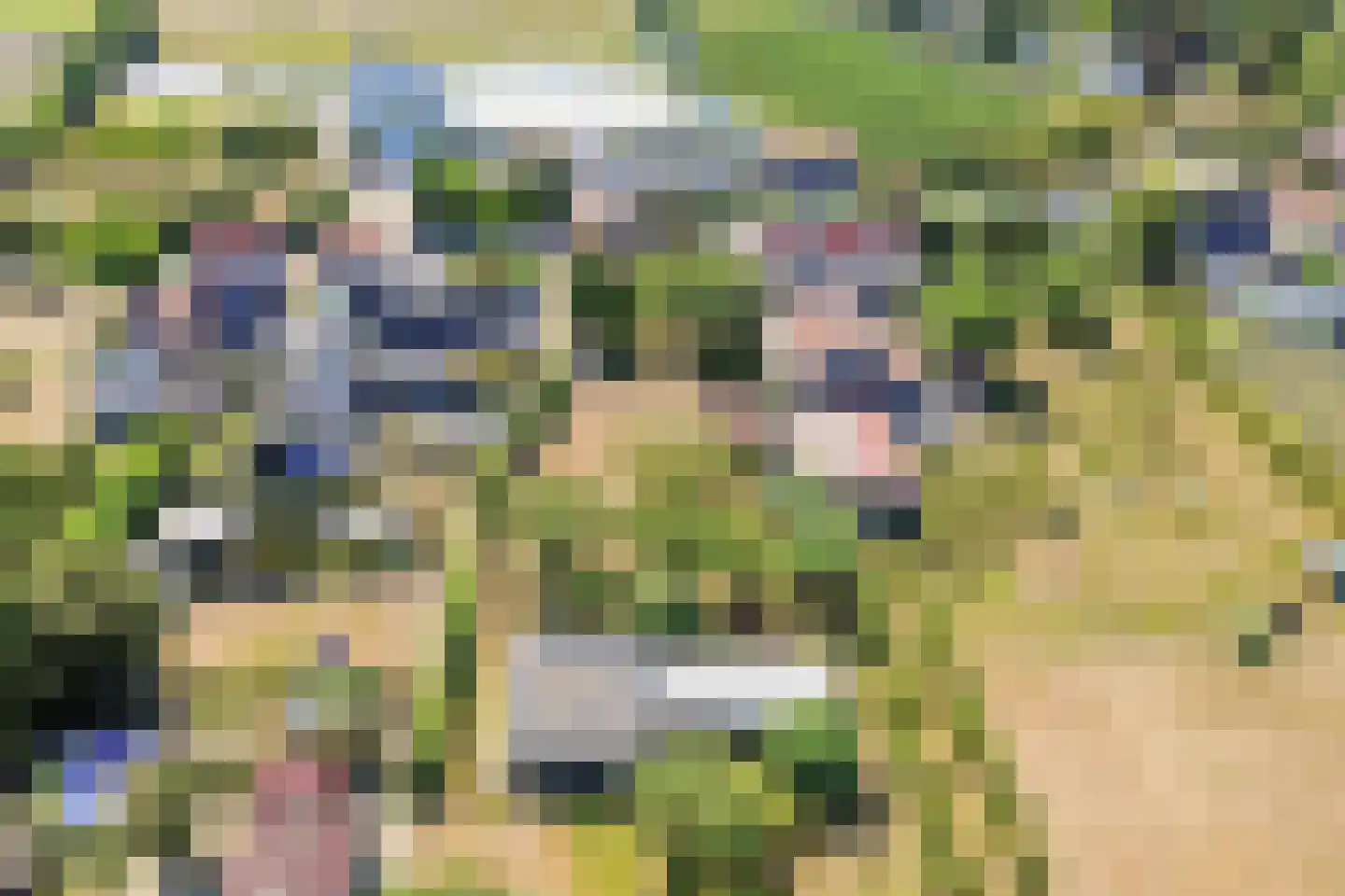 Langeweegje 7 Kwadendamme thumbnail 48