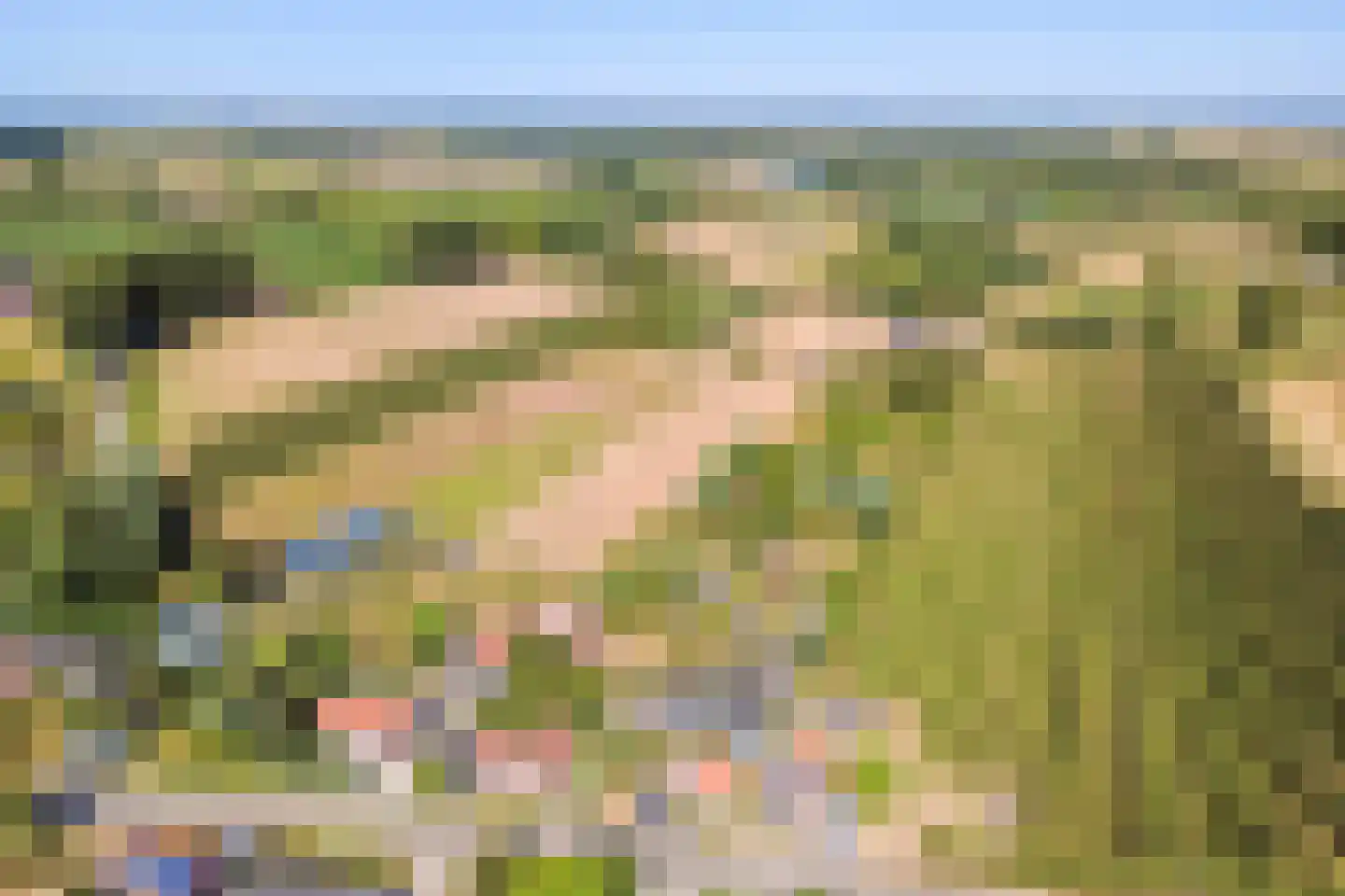 Langeweegje 7 Kwadendamme thumbnail 51