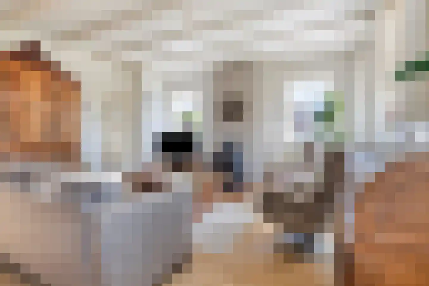 Langeweegje 7 Kwadendamme thumbnail 6