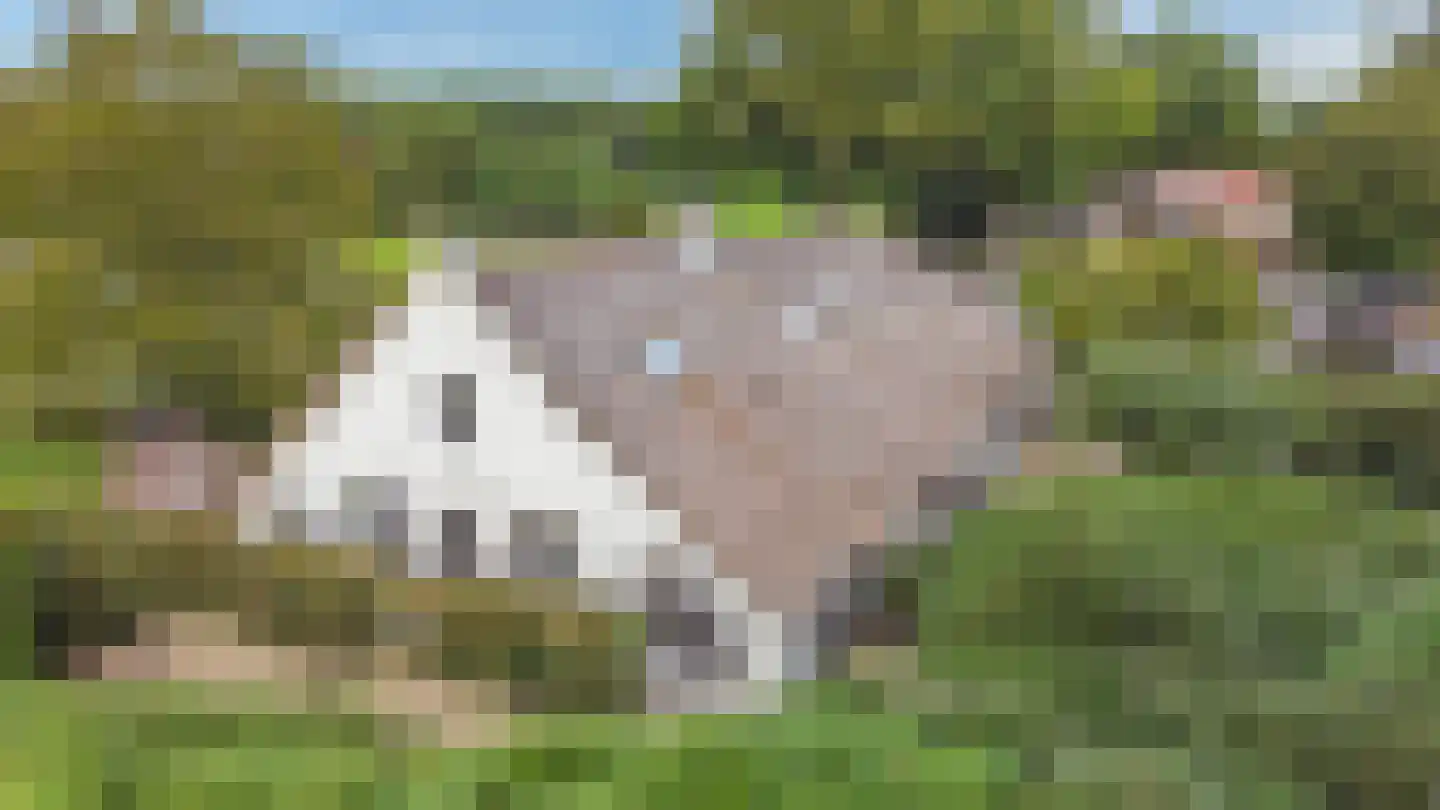 Langeweg 1 Blaricum