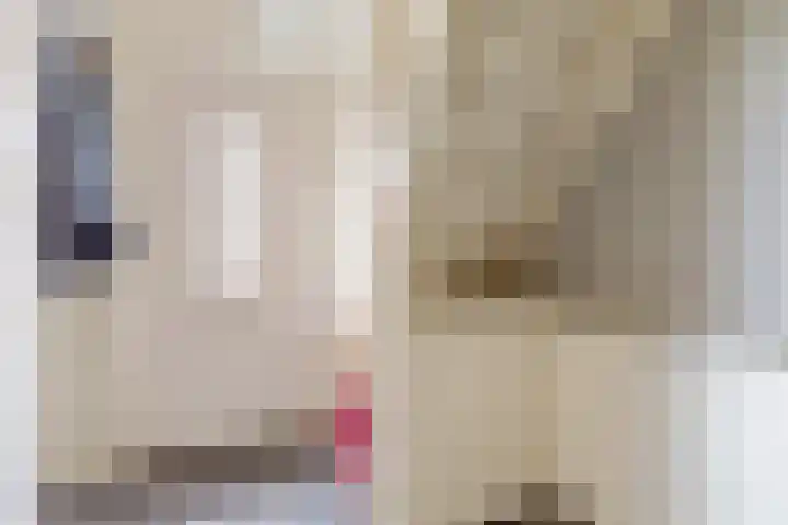 Langeweg 1 Grootegast thumbnail 16