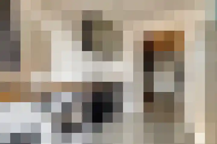 Langeweg 1 Grootegast thumbnail 25