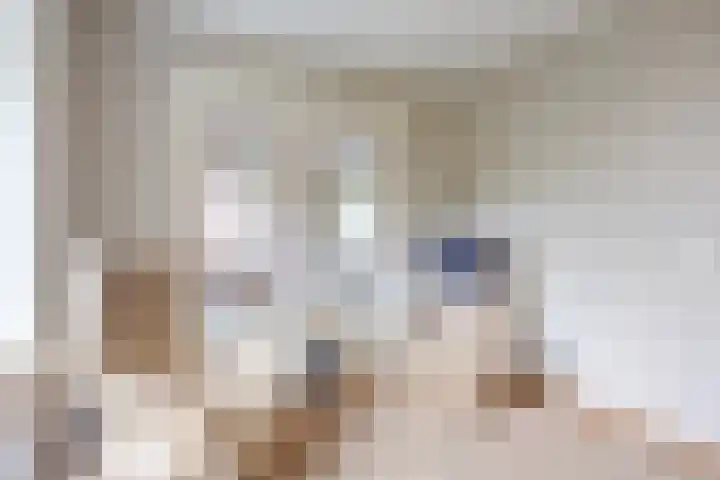 Langeweg 1 Grootegast thumbnail 26